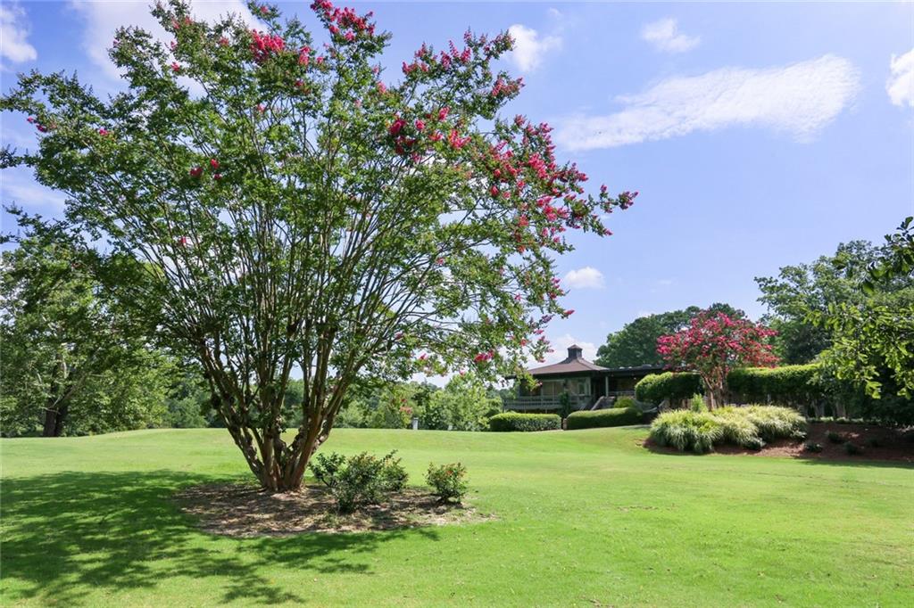 37 La Rue Place Northwest Atlanta, GA 30327 - Photo 30 of 43 a view of a garden with a building in the background
