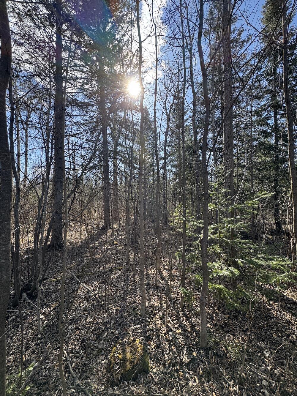 2254 Highway 30 Alger, MI 48610 - Photo 28 of 81 IMG_0788