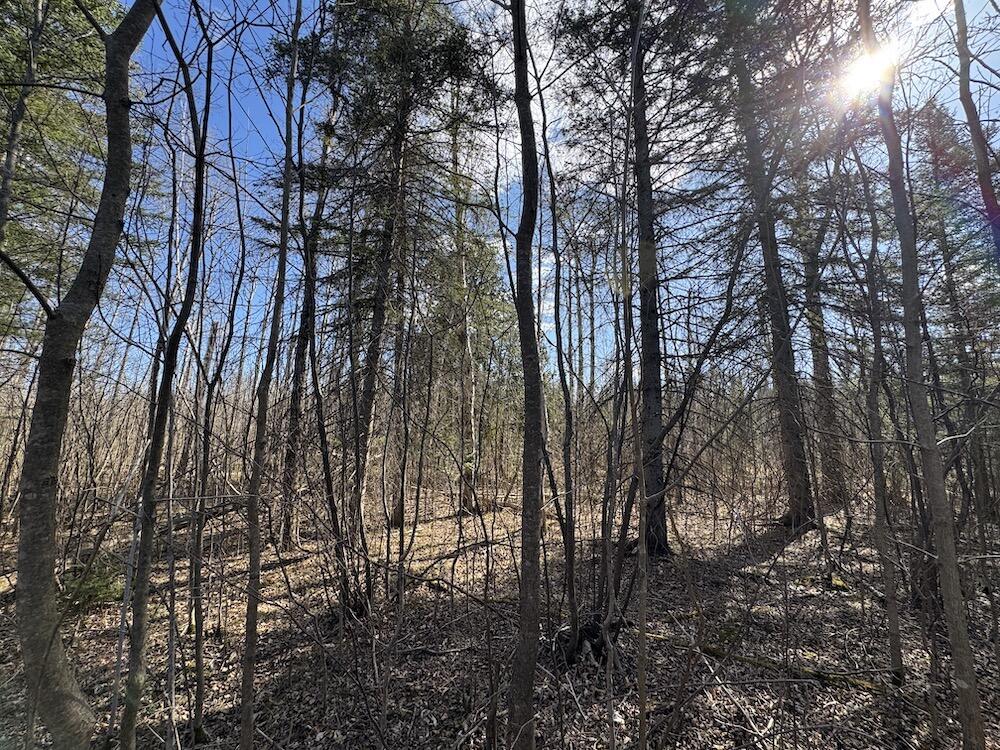 2254 Highway 30 Alger, MI 48610 - Photo 29 of 81 IMG_0789