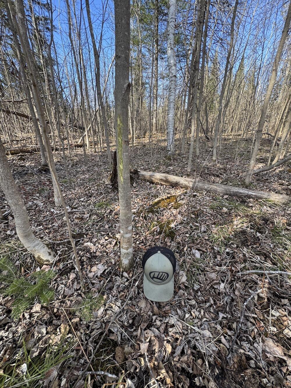 2254 Highway 30 Alger, MI 48610 - Photo 33 of 81 IMG_0793