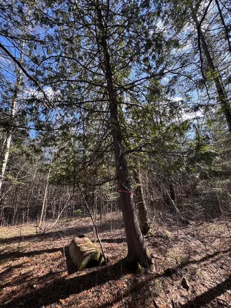 $314,900 | 2254 Highway 30, Alger, MI 48610