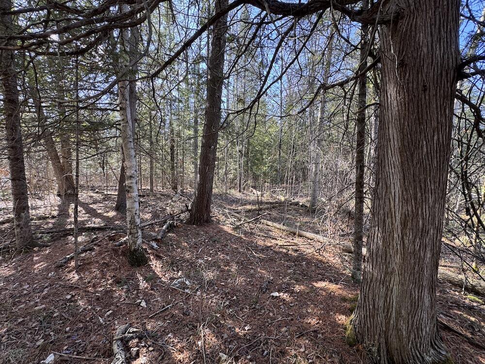 2254 Highway 30 Alger, MI 48610 - Photo 36 of 81 IMG_0796