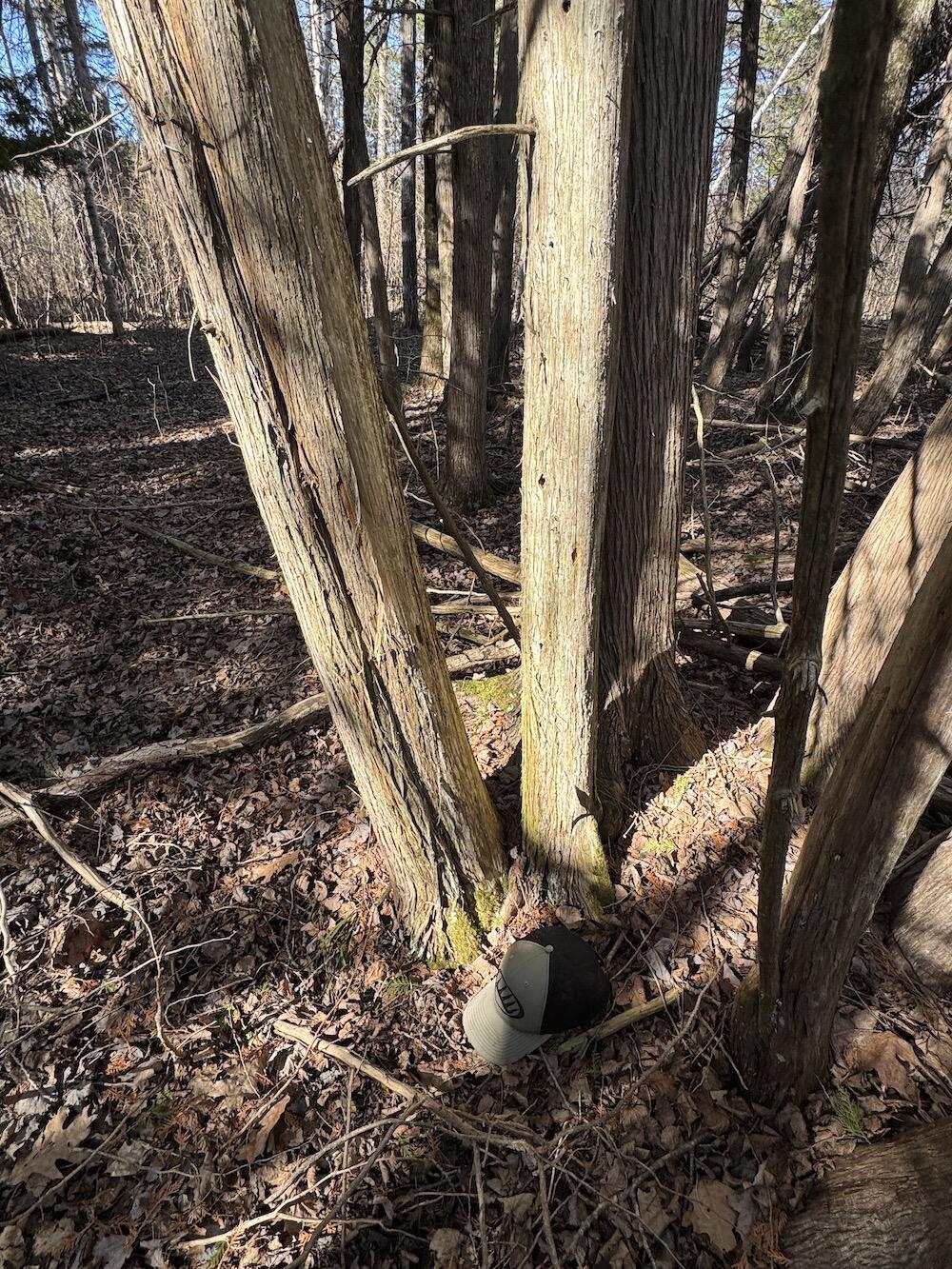 2254 Highway 30 Alger, MI 48610 - Photo 47 of 81 IMG_0808