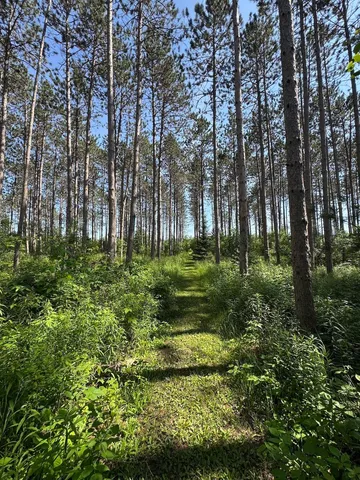 $314,900 | 2254 Highway 30, Alger, MI 48610