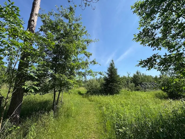 $314,900 | 2254 Highway 30, Alger, MI 48610