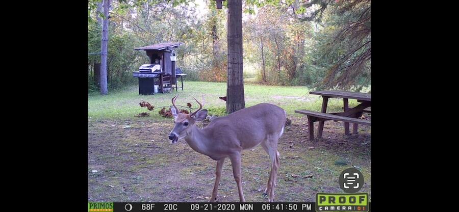 2254 Highway 30 Alger, MI 48610 - Photo 77 of 81 cover1