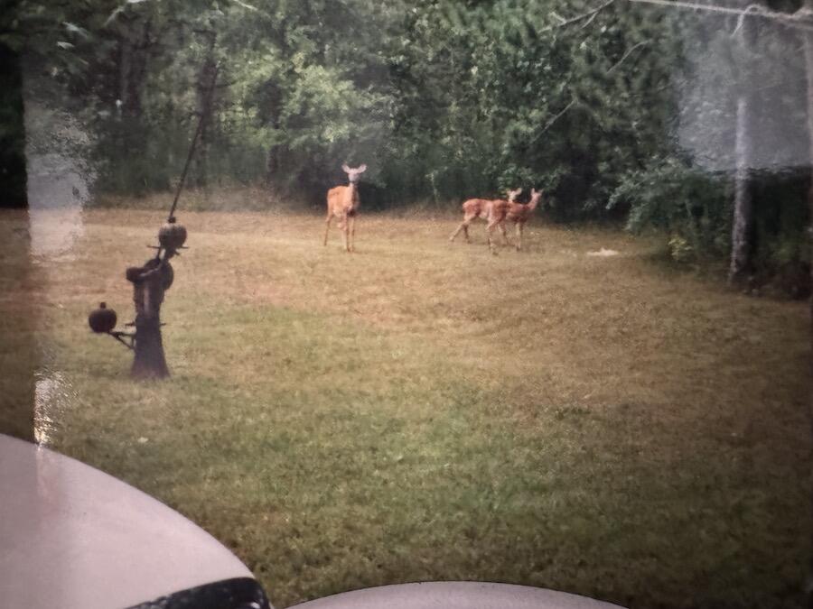 2254 Highway 30 Alger, MI 48610 - Photo 80 of 81 IMG_0766