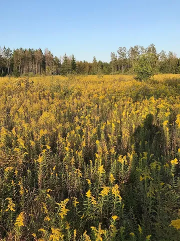 $314,900 | 2254 Highway 30, Alger, MI 48610