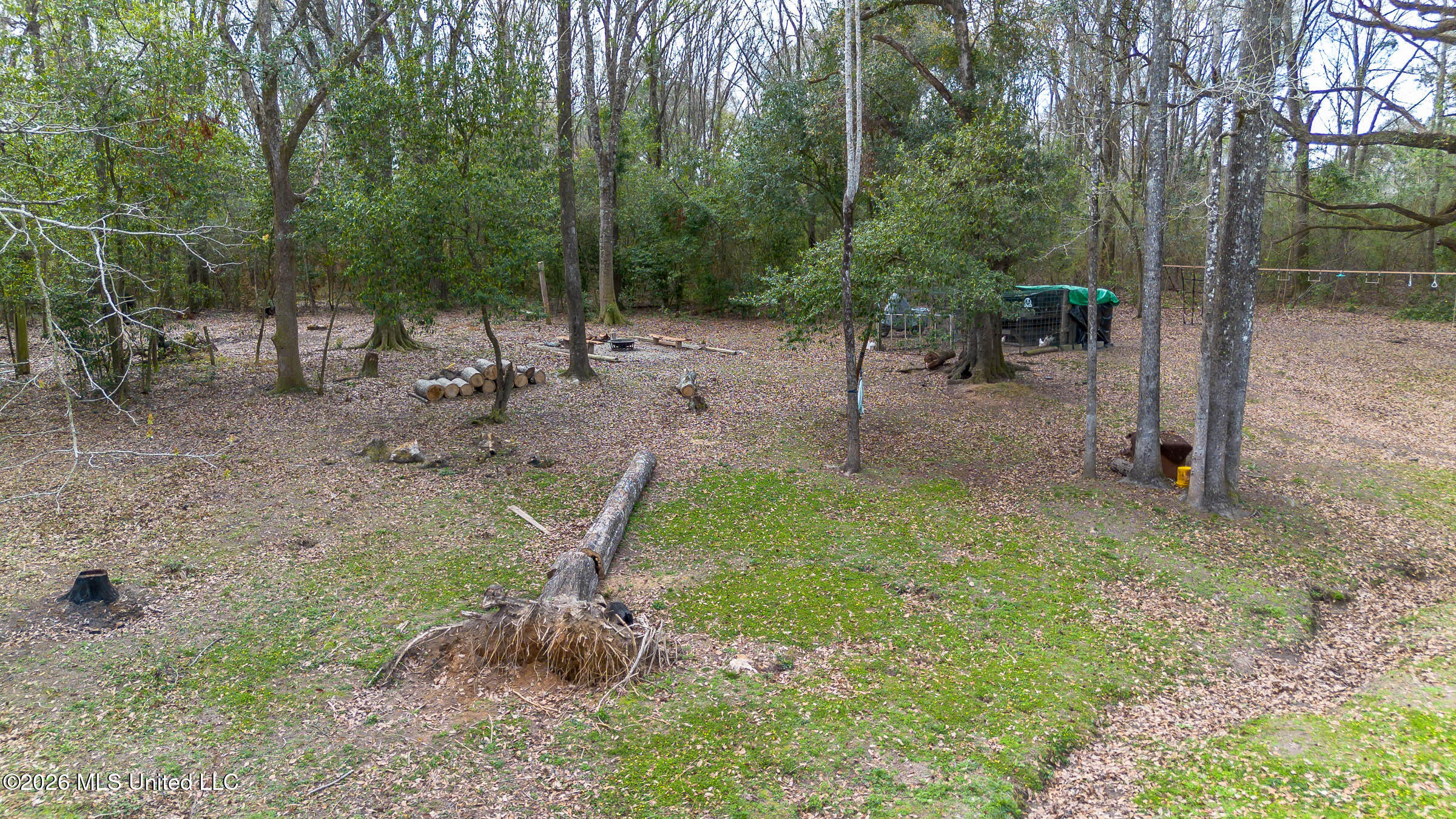 28 West M Stewart Road Carriere, MS 39426 - Photo 37 of 58 28 W M Stewart Rd (10)
