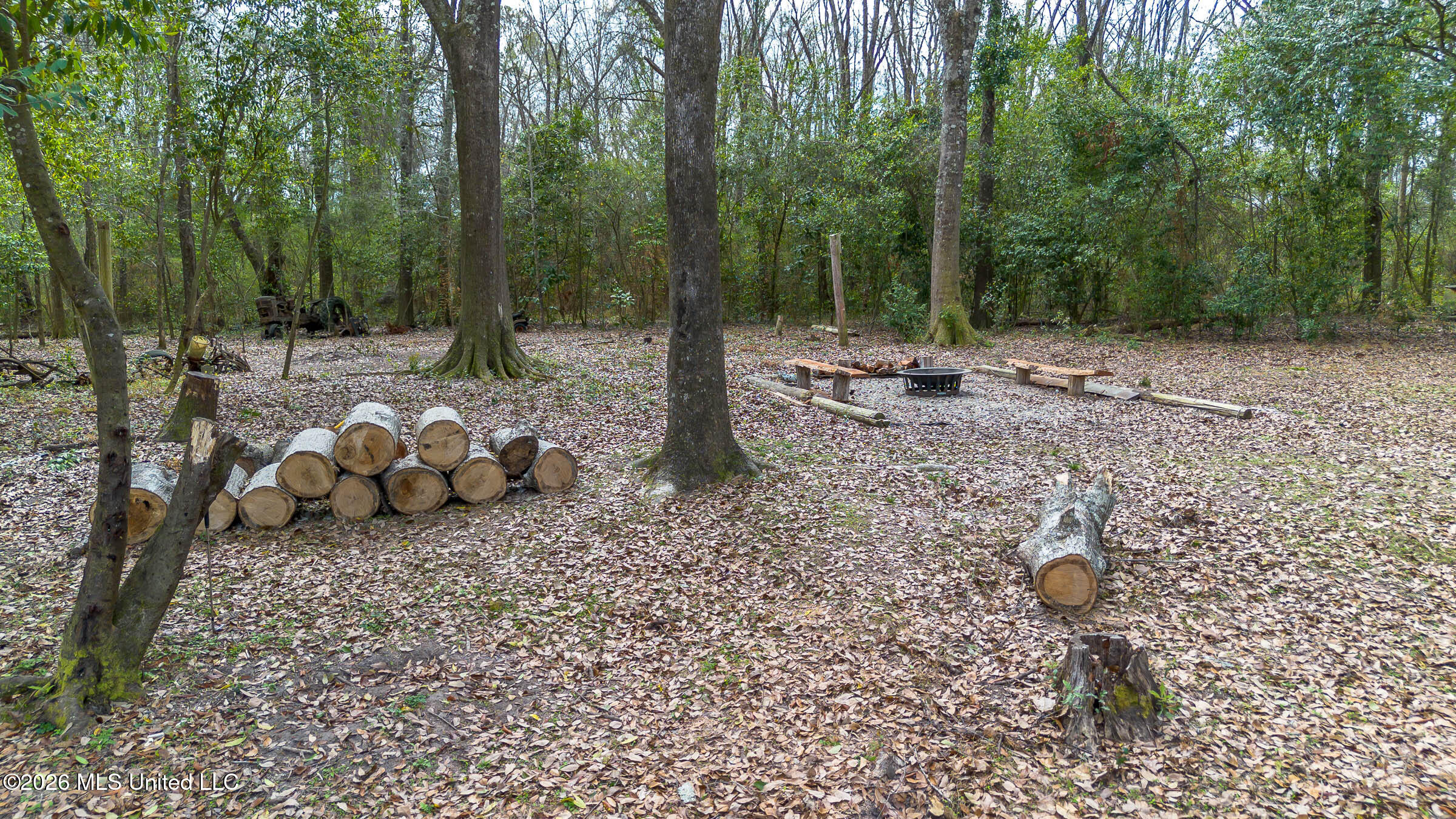 28 West M Stewart Road Carriere, MS 39426 - Photo 38 of 58 28 W M Stewart Rd (12)