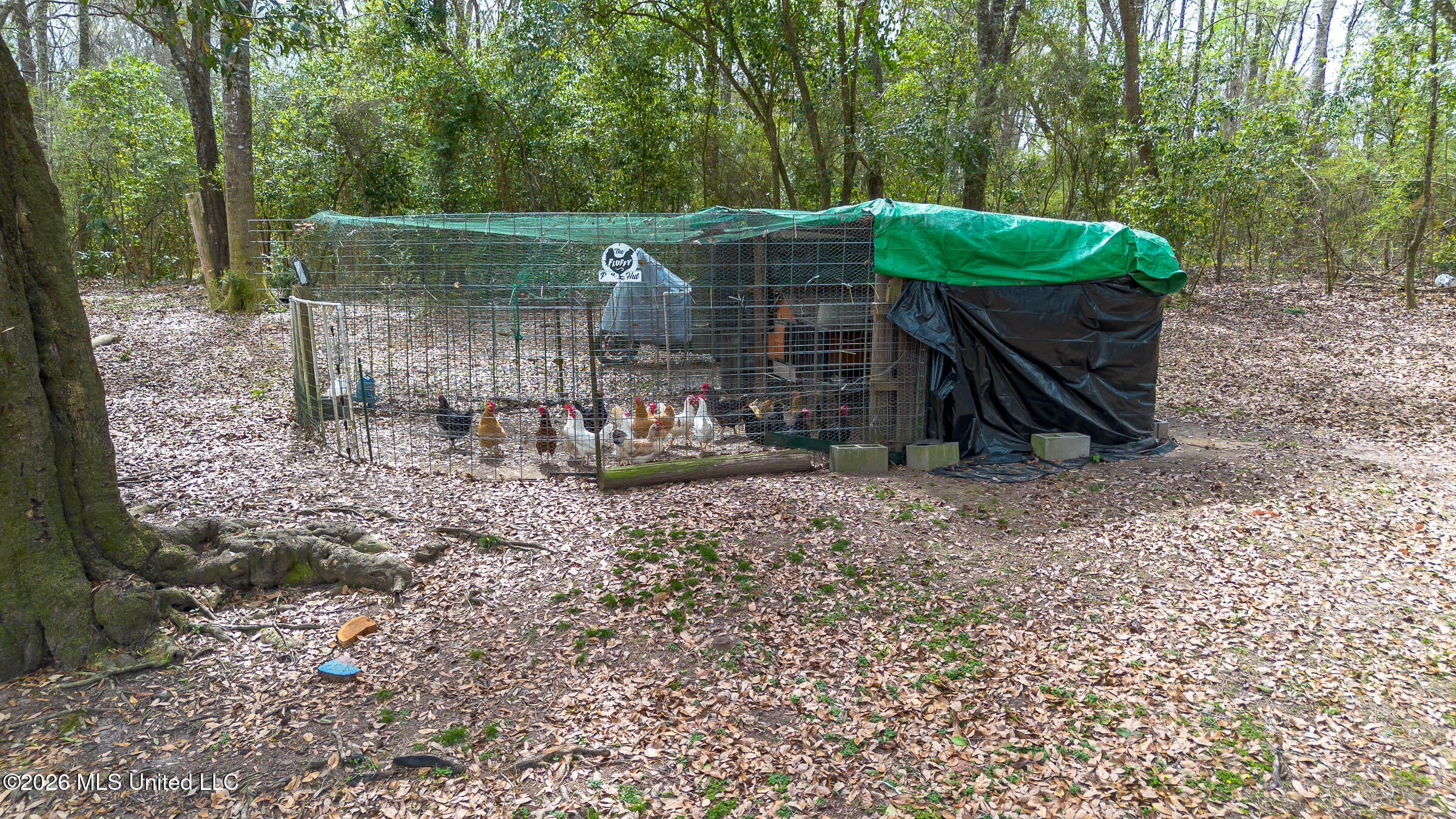 28 West M Stewart Road Carriere, MS 39426 - Photo 42 of 58 28 W M Stewart Rd (16)