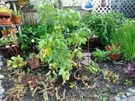 1529 Buffalo Road, Unit 33 Gates, NY 14624 - Photo 13 of 13