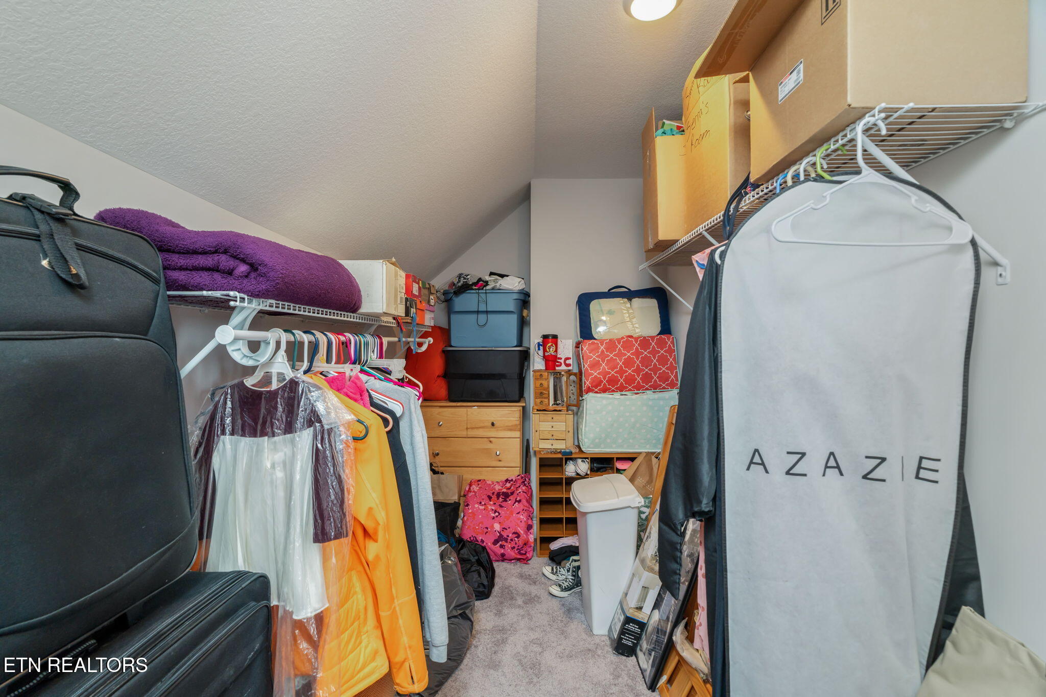 113 Sweetberry Street Oak Ridge, TN 37830 - Photo 34 of 59 Storage Closet