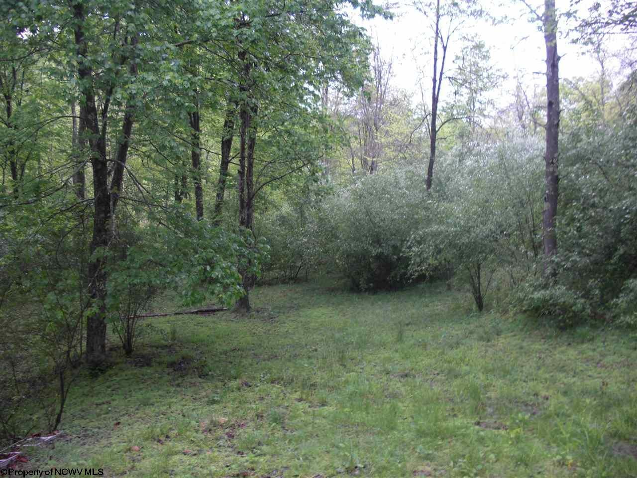 2822 Walnut Fork Road Camden, WV 26338 - Photo 2 of 20 Gallery Image 2