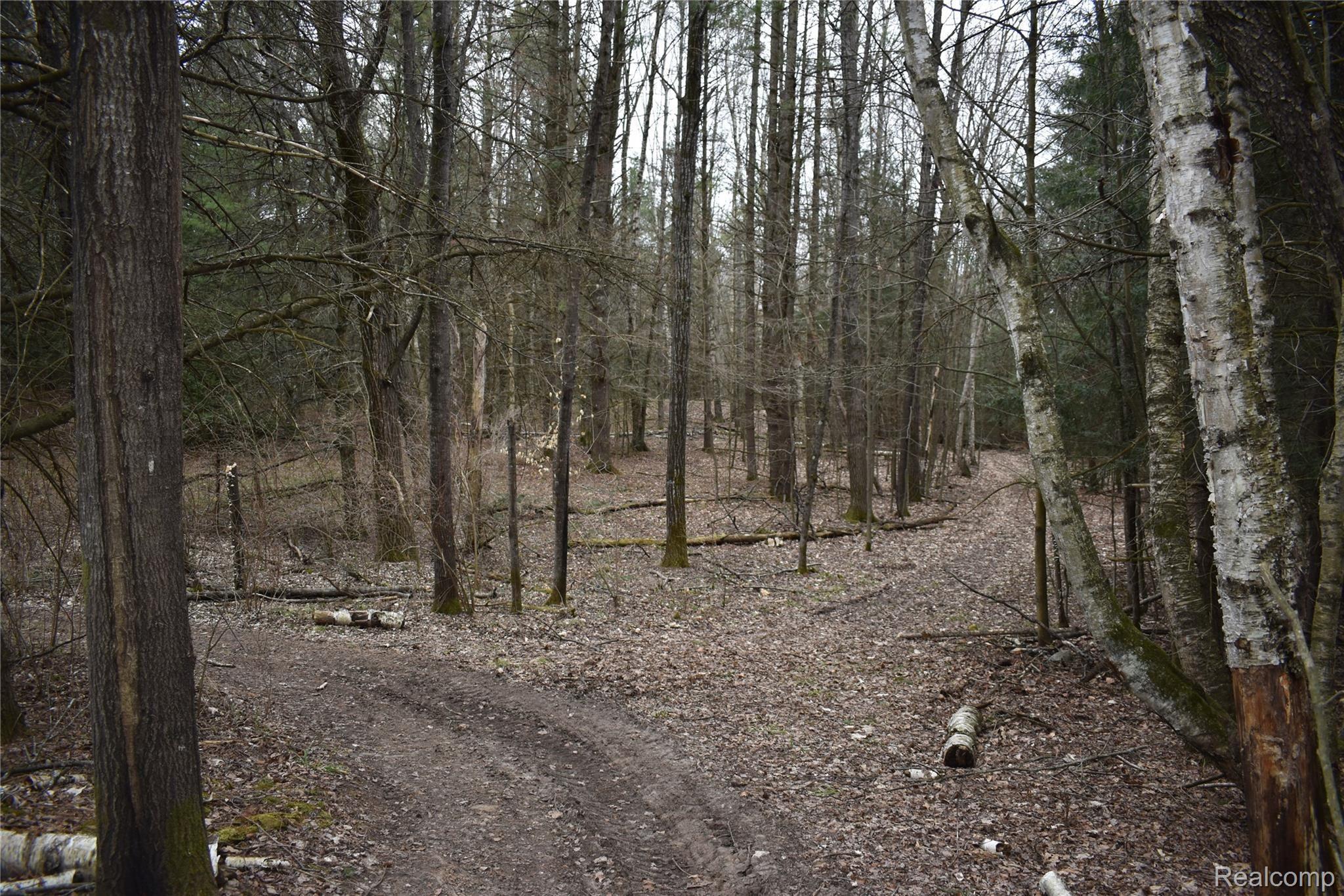 2130 King Road Mikado, MI 48745 - Photo 52 of 57 DSC_0492.JPG