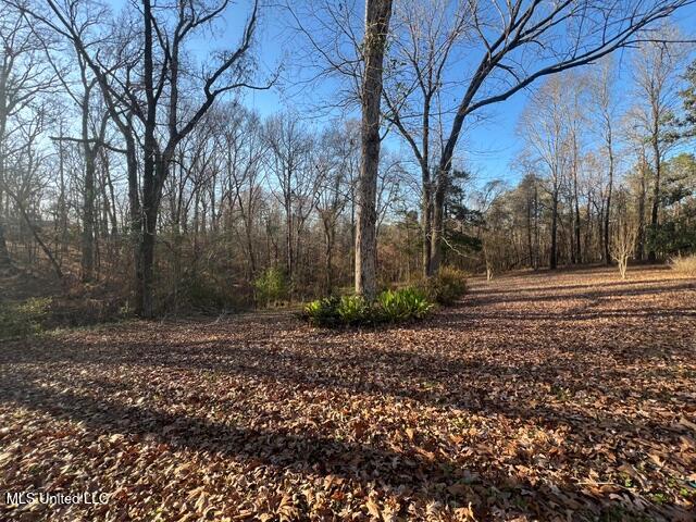 141 North Eagle Ridge Drive Florence, MS 39073 - Photo 26 of 27 IMG_3327