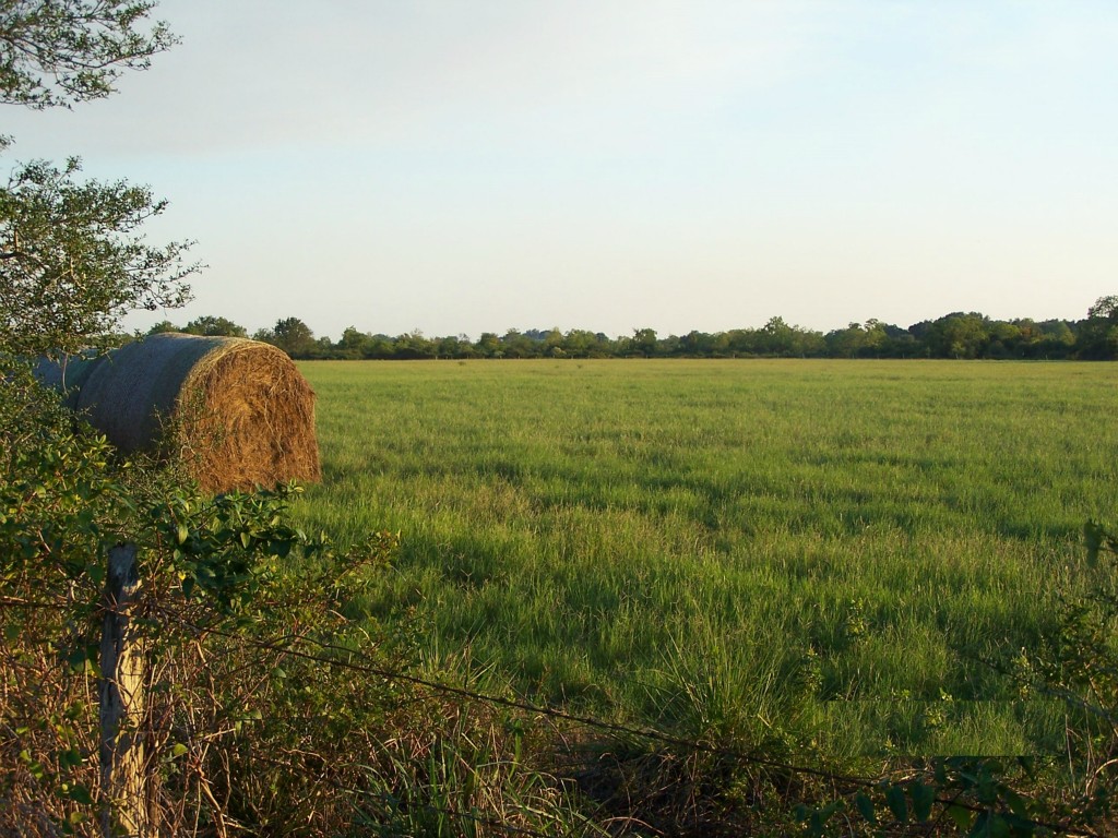 0 Crooked Road Alleyton, TX 78935 - Photo 1 of 1 Gallery Image 1