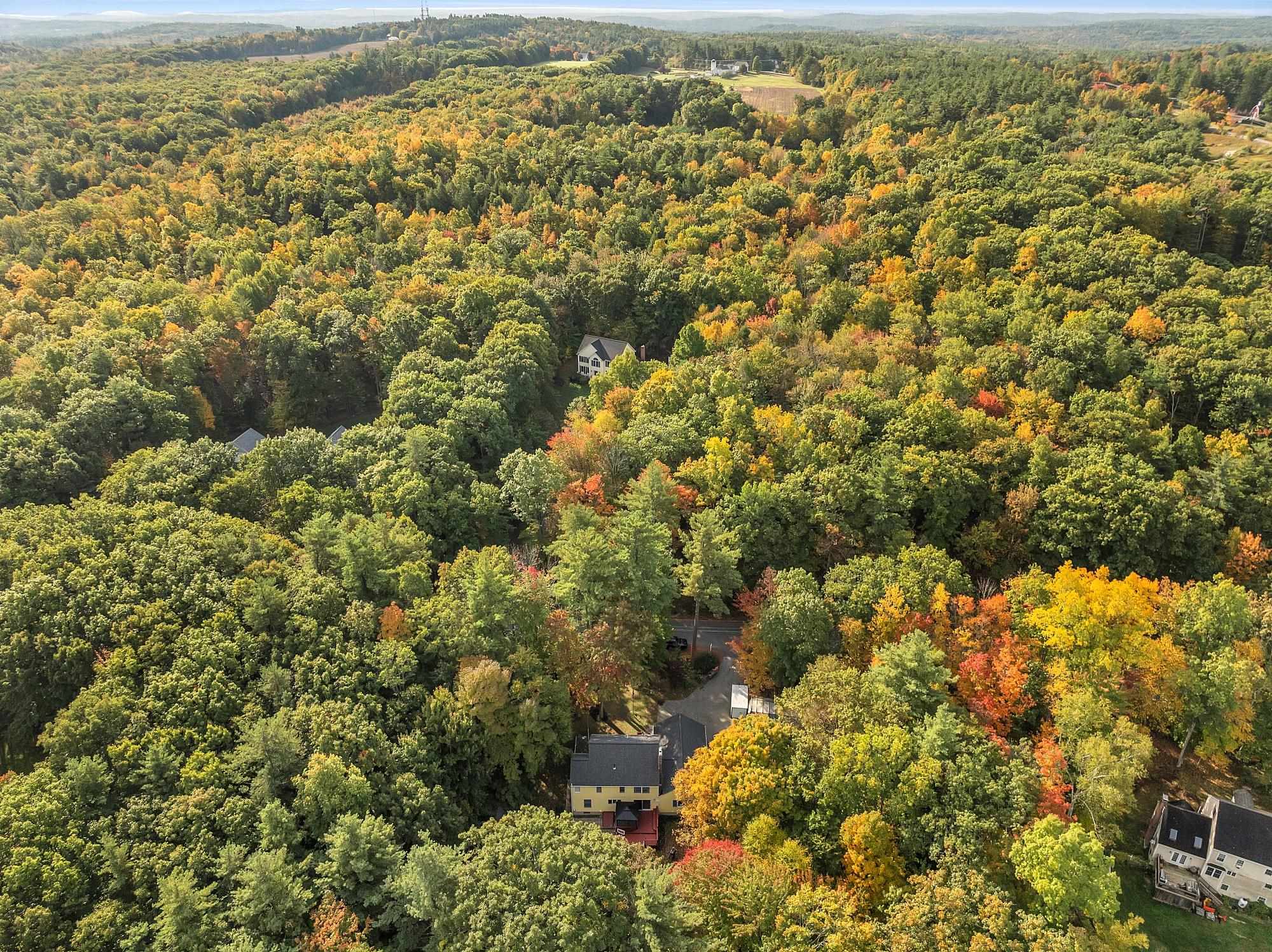 51 Pulpit Rock Road Chester, NH 03036 - Photo 33 of 44