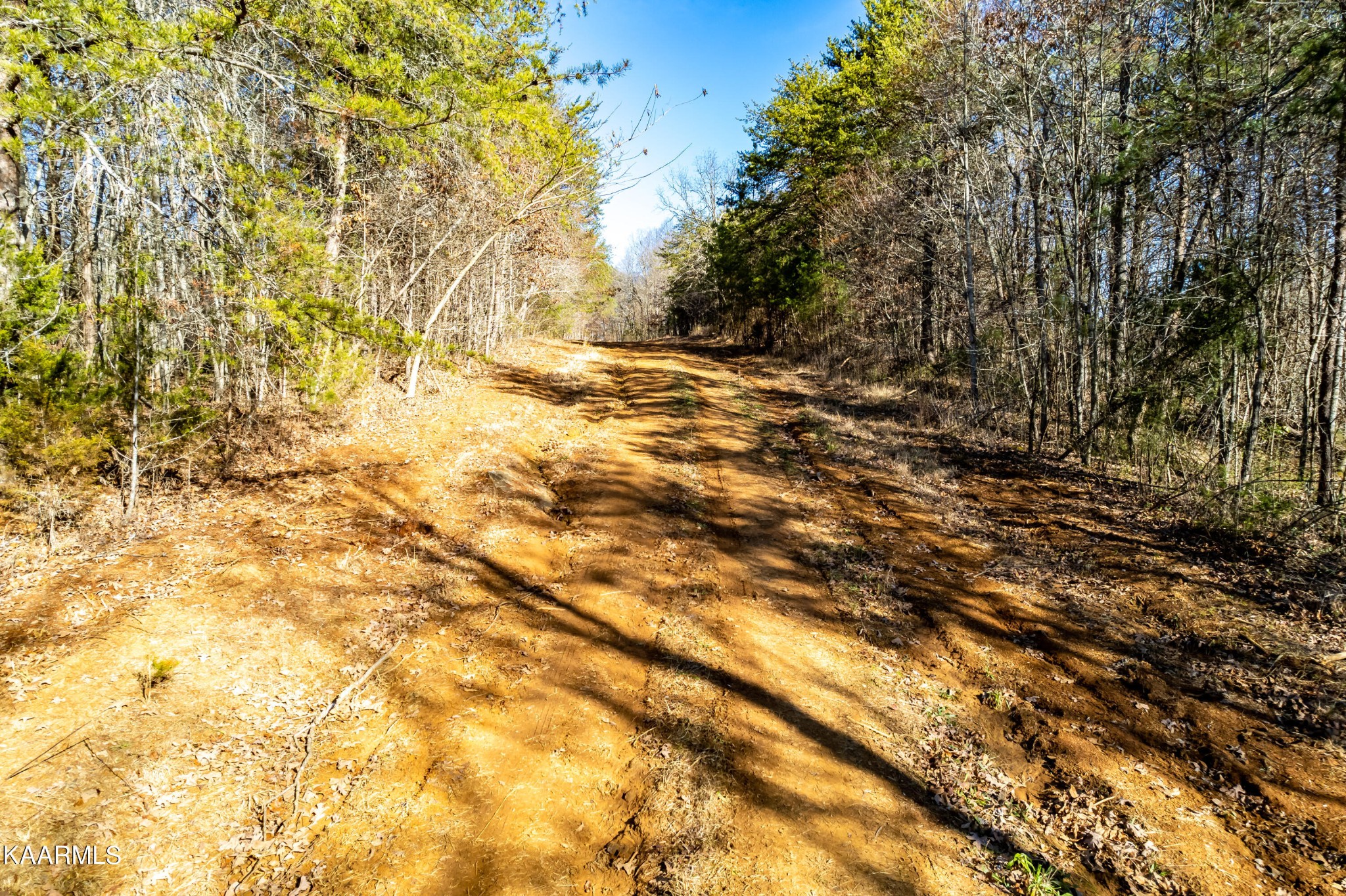 0 Prospect Church Road Loudon, TN 37774 - Photo 6 of 28 Gallery Image 6