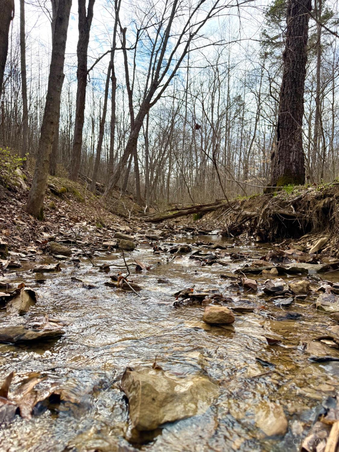 0 Fyffe Hollow Road Chillicothe, OH 45601 - Photo 68 of 96