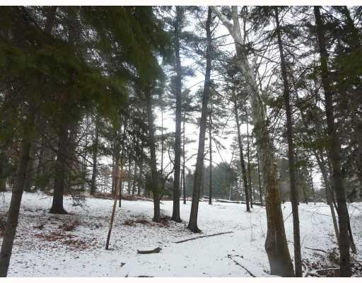 894 Blackburn Road Sewickley Heights, PA 15143 - Photo 1 of 1 Land.