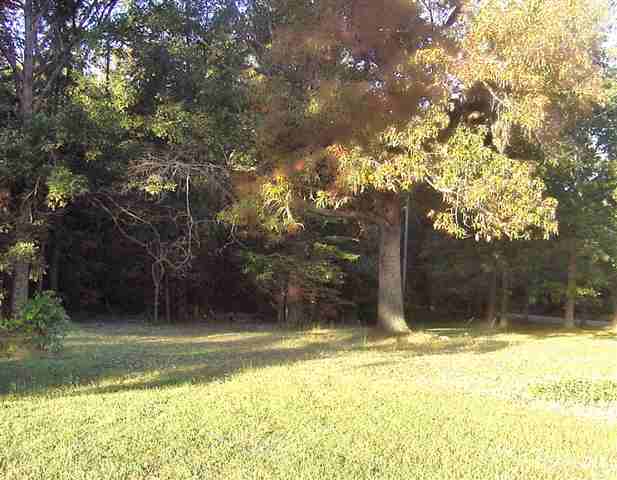 1410 Bishops Branch Road Pendleton, SC 29670 - Photo 3 of 19