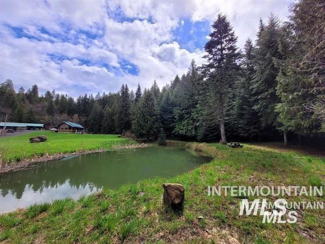 112 Three Forks Road Kamiah, ID 83536 - Photo 40 of 45 Water view featuring a heavily wooded area