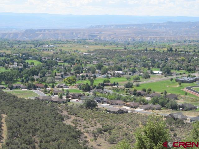 24203 Valley View Circle Cedaredge, CO 81413 - Photo 39 of 41 an aerial view of a houses with a yard and trees