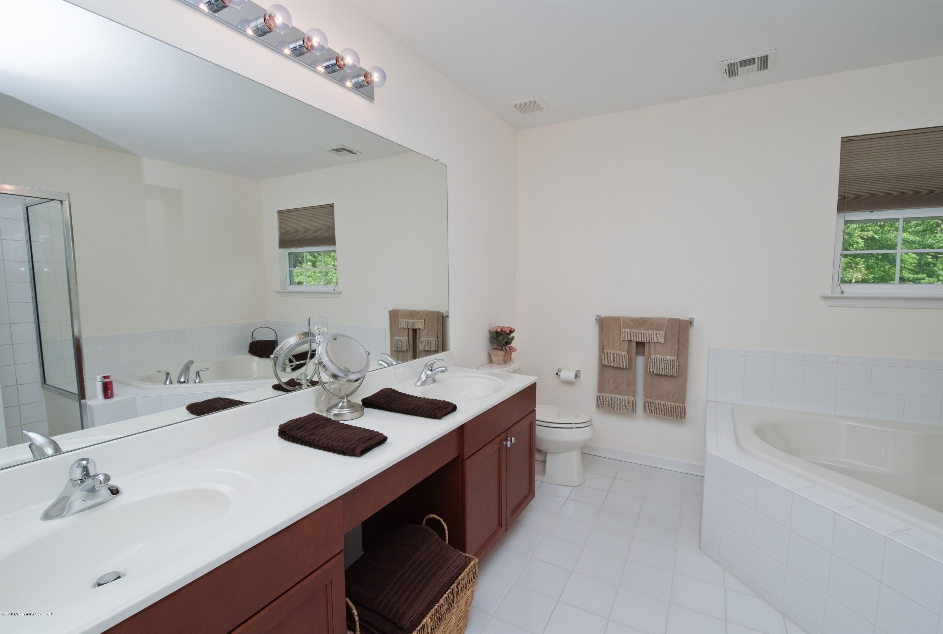 63 Yellow Meetinghouse Road Cream Ridge, NJ 08514 - Photo 22 of 32 a bathroom with a sink mirror and a bathtub