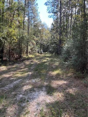 0 Henderson Road Covington, LA 70435 - Photo 2 of 16