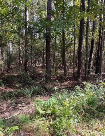 0 Henderson Road Covington, LA 70435 - Photo 3 of 16