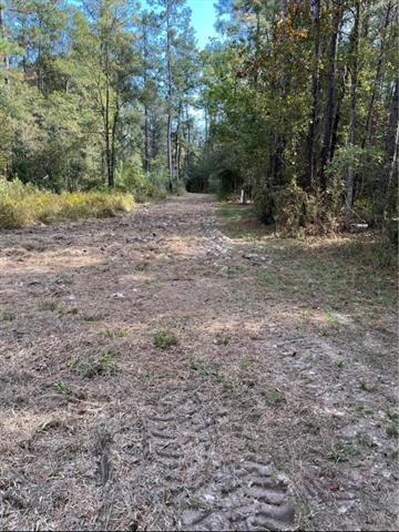 0 Henderson Road Covington, LA 70435 - Photo 4 of 16