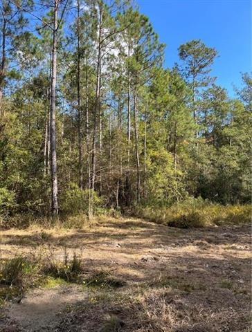 0 Henderson Road Covington, LA 70435 - Photo 5 of 16