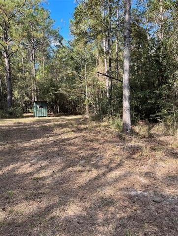 0 Henderson Road Covington, LA 70435 - Photo 6 of 16