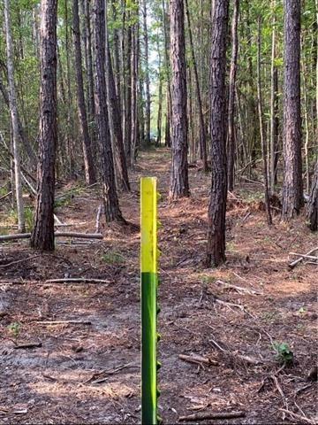 0 Henderson Road Covington, LA 70435 - Photo 7 of 16