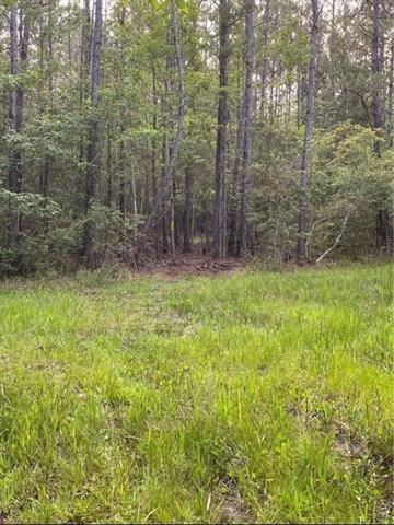 0 Henderson Road Covington, LA 70435 - Photo 8 of 16