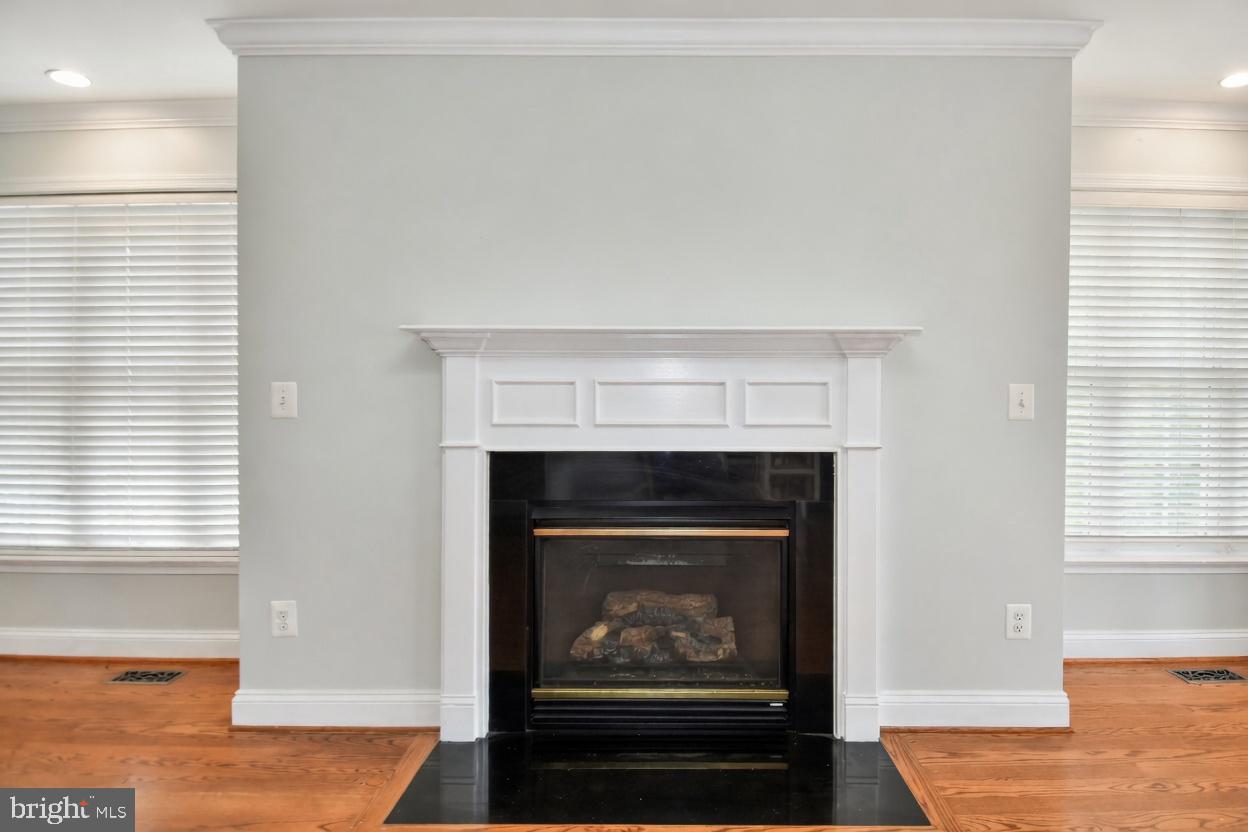 486 Tiger Valley Road Washington, VA 22747 - Photo 31 of 70 gas fireplace