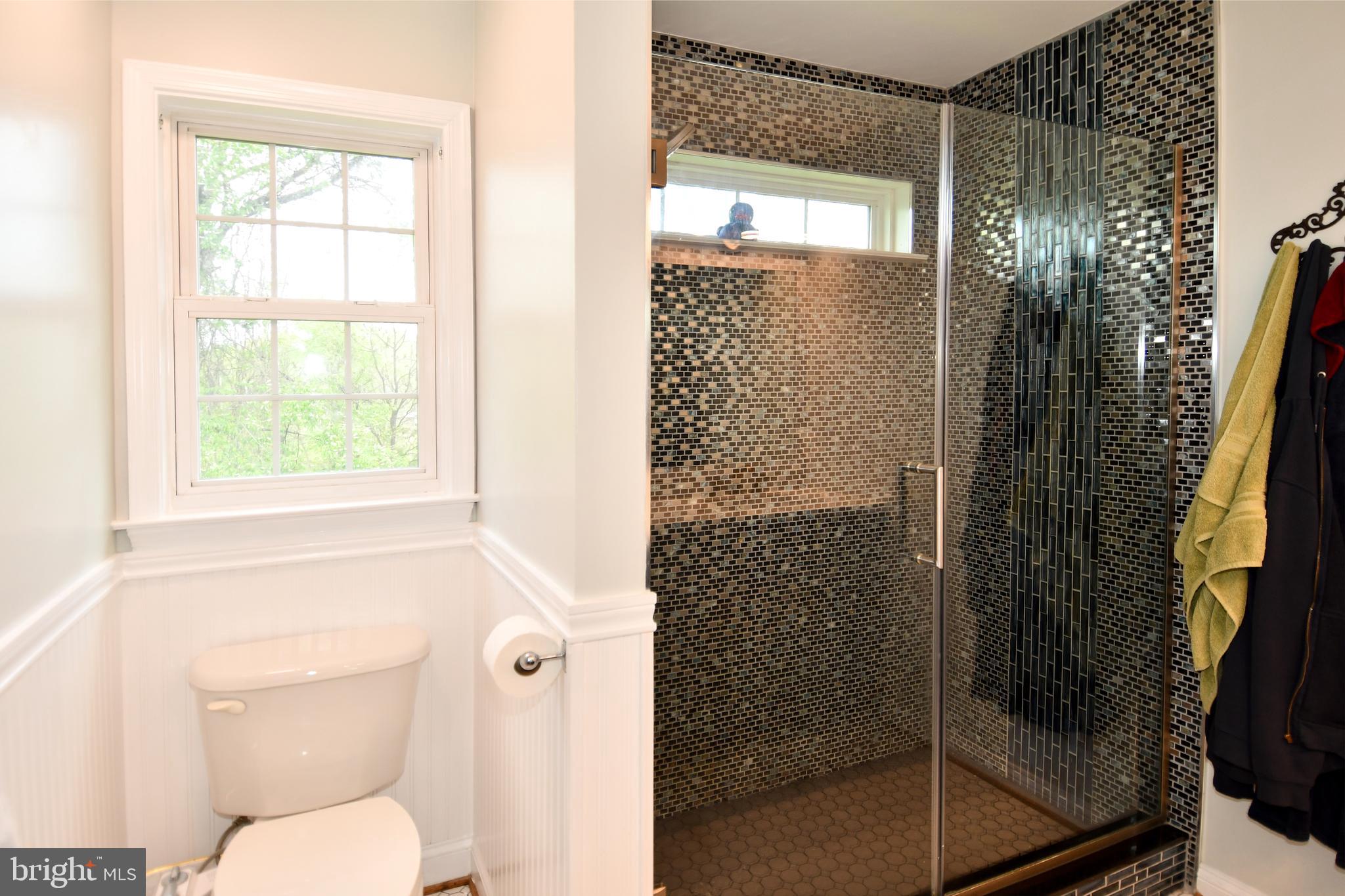 486 Tiger Valley Road Washington, VA 22747 - Photo 48 of 70 a bathroom with a shower and toilet