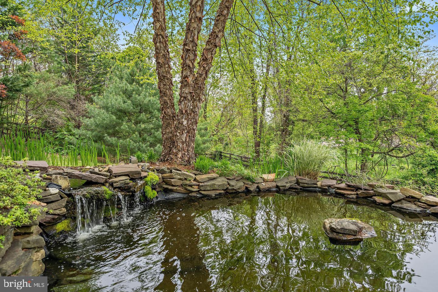 486 Tiger Valley Road Washington, VA 22747 - Photo 10 of 70