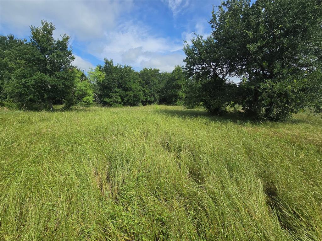 30 Oasis Court Perrin, TX 76486 - Photo 7 of 30