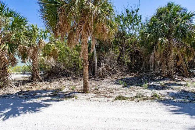 a view of a backyard of a house