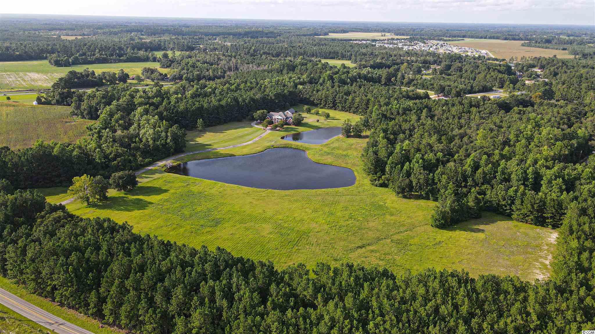 293 Daisy Road Loris, SC 29569 - Photo 39 of 40