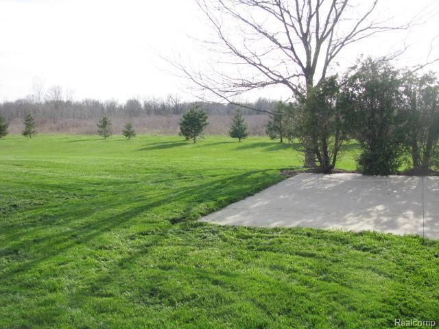 15233 Schultz Road Allenton, MI 48002 - Photo 34 of 39 #33 View from Patio.jpg