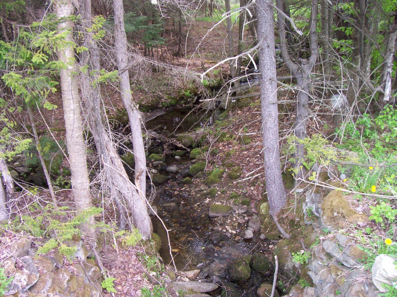 Lot 4 King Hill Road Readsboro, VT 05350 - Photo 1 of 6 a backyard of a building