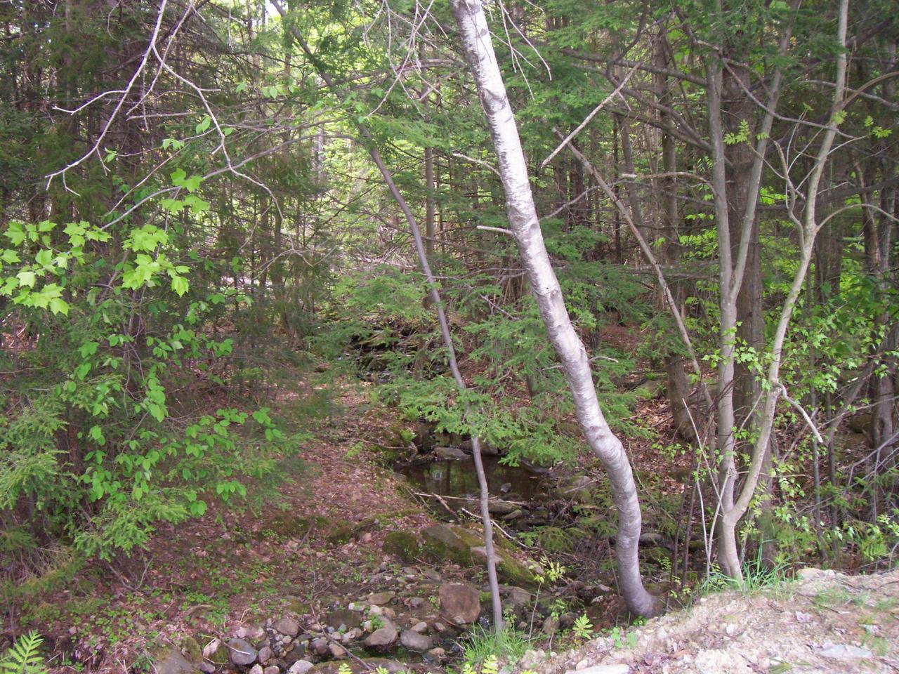 Lot 4 King Hill Road Readsboro, VT 05350 - Photo 4 of 6 a backyard of a house with lots of trees
