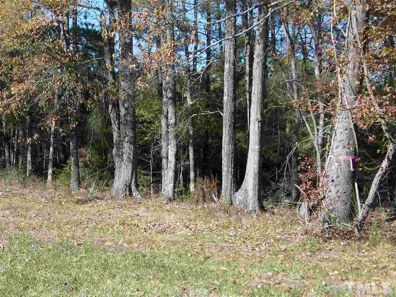 0 Sam Moss Hayes Road Creedmoor, NC 27522 - Photo 1 of 13 Gallery Image 1