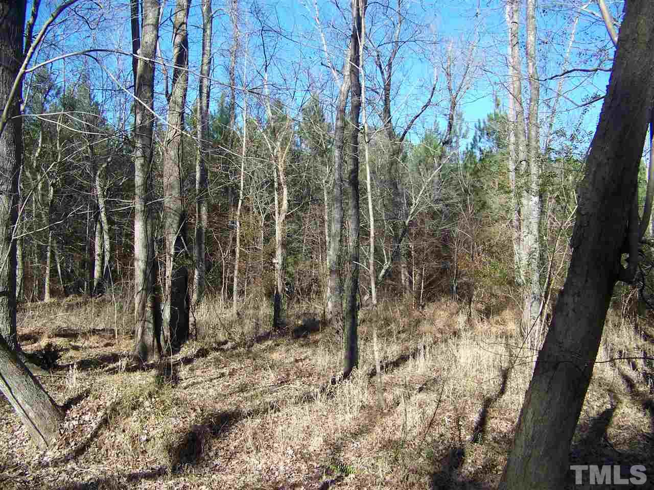 0 Sam Moss Hayes Road Creedmoor, NC 27522 - Photo 11 of 13 Gallery Image 11