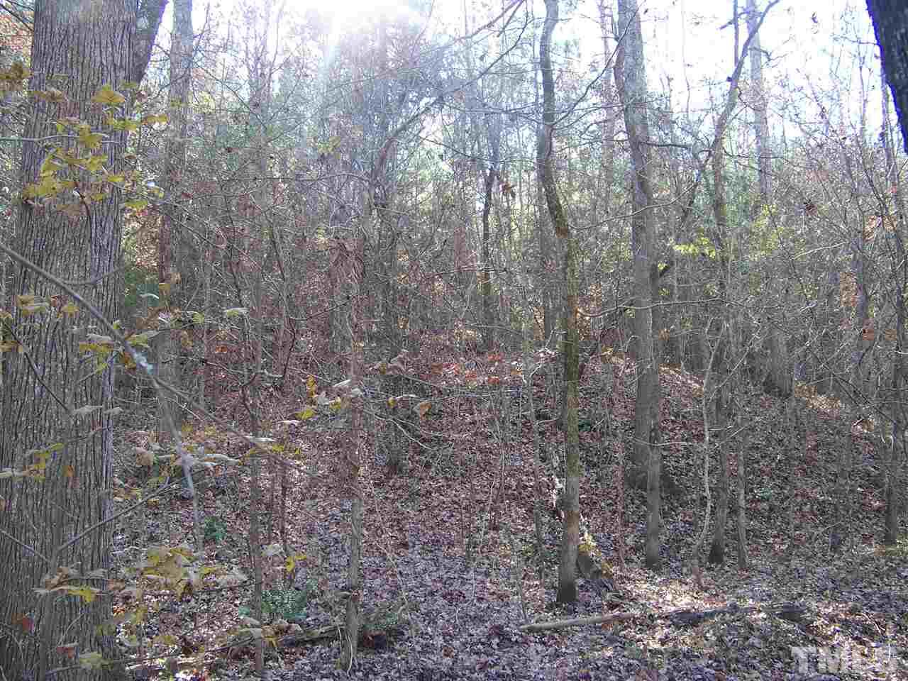 0 Sam Moss Hayes Road Creedmoor, NC 27522 - Photo 12 of 13 Gallery Image 12