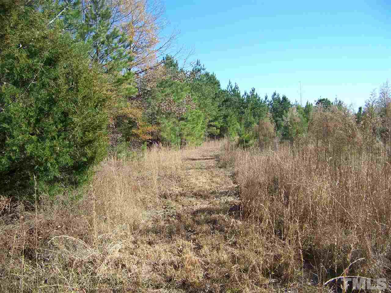 0 Sam Moss Hayes Road Creedmoor, NC 27522 - Photo 4 of 13 Gallery Image 4
