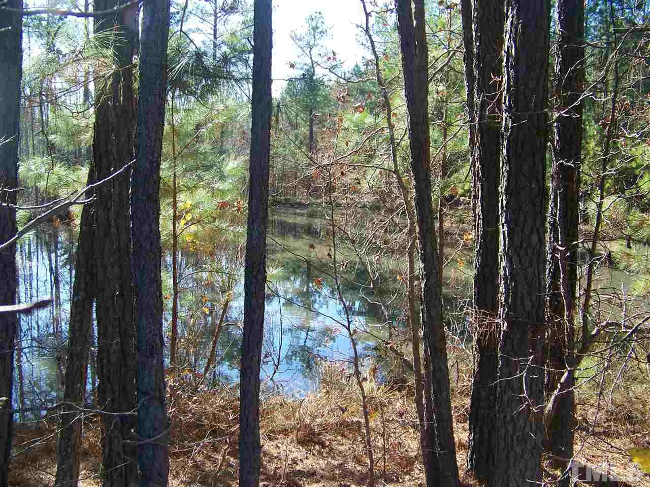 0 Sam Moss Hayes Road Creedmoor, NC 27522 - Photo 5 of 13 Gallery Image 5